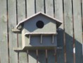 /album/my-local-birding-gallery/barn-owl-nesting-box-at-calder-farm-jpg/